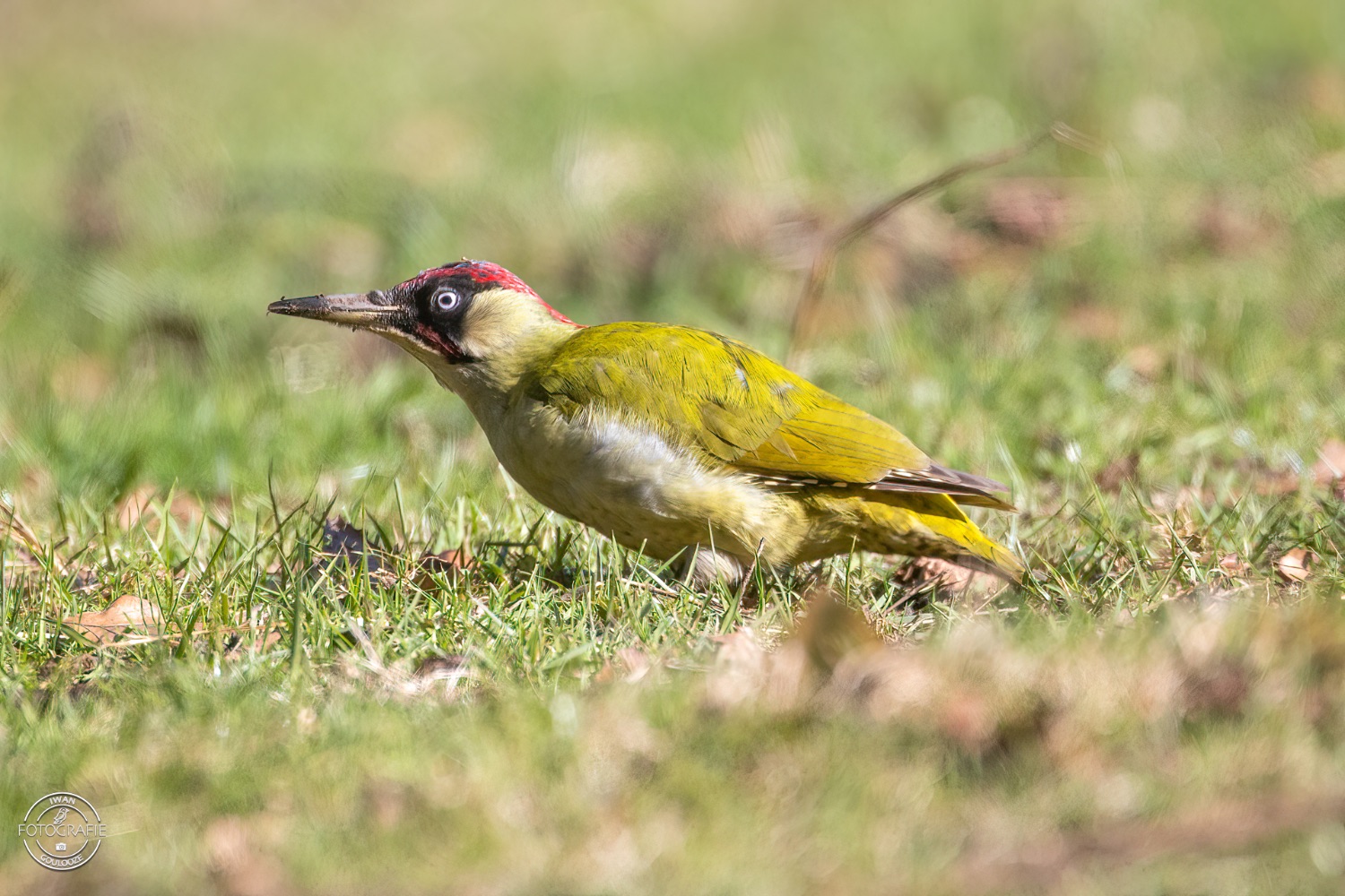 11 maart 2023 143240 1R2A1169 bewerkt